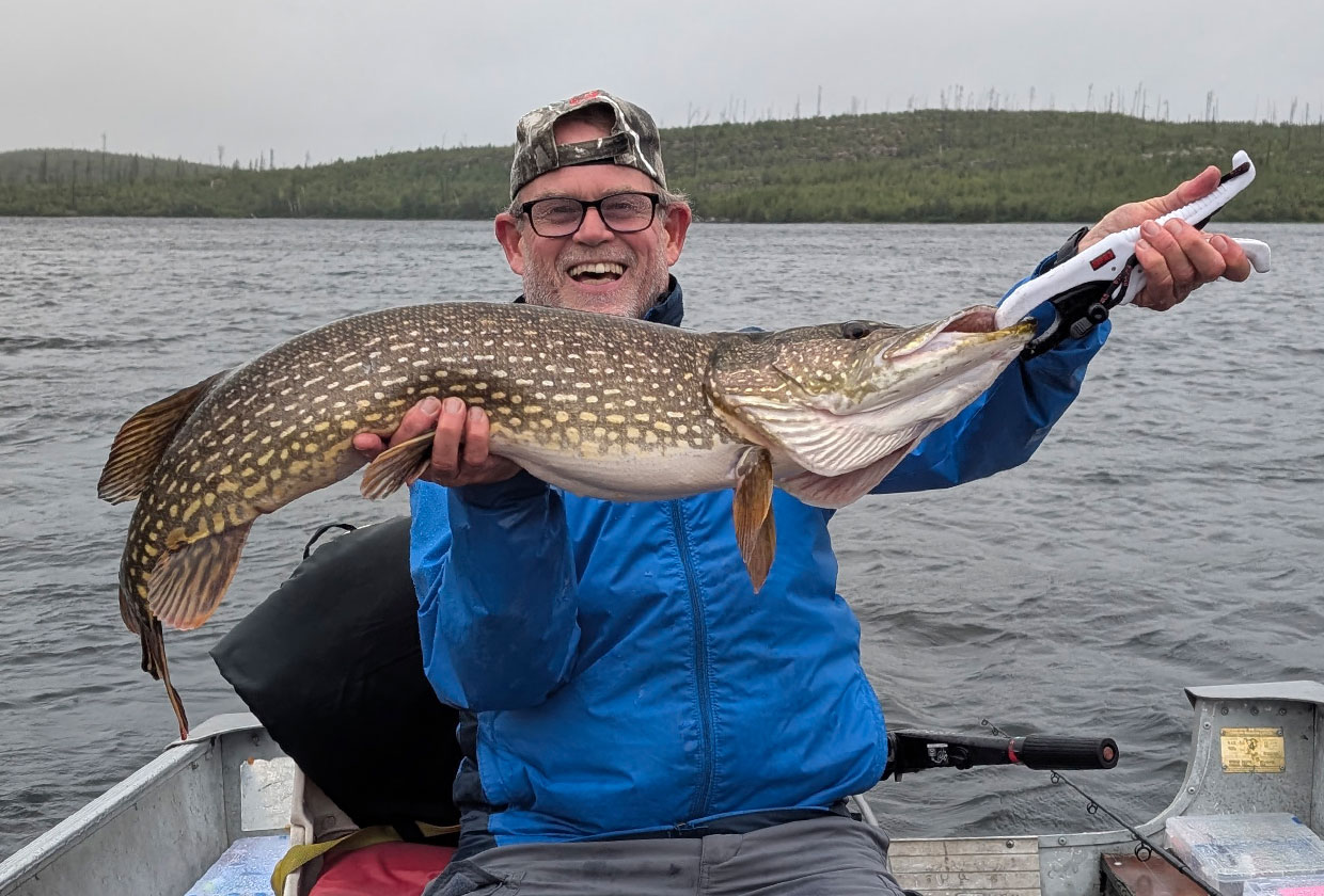 Giant Pike