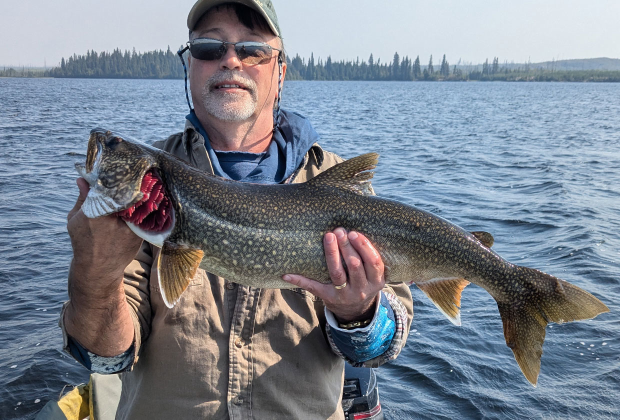 Lake Trout