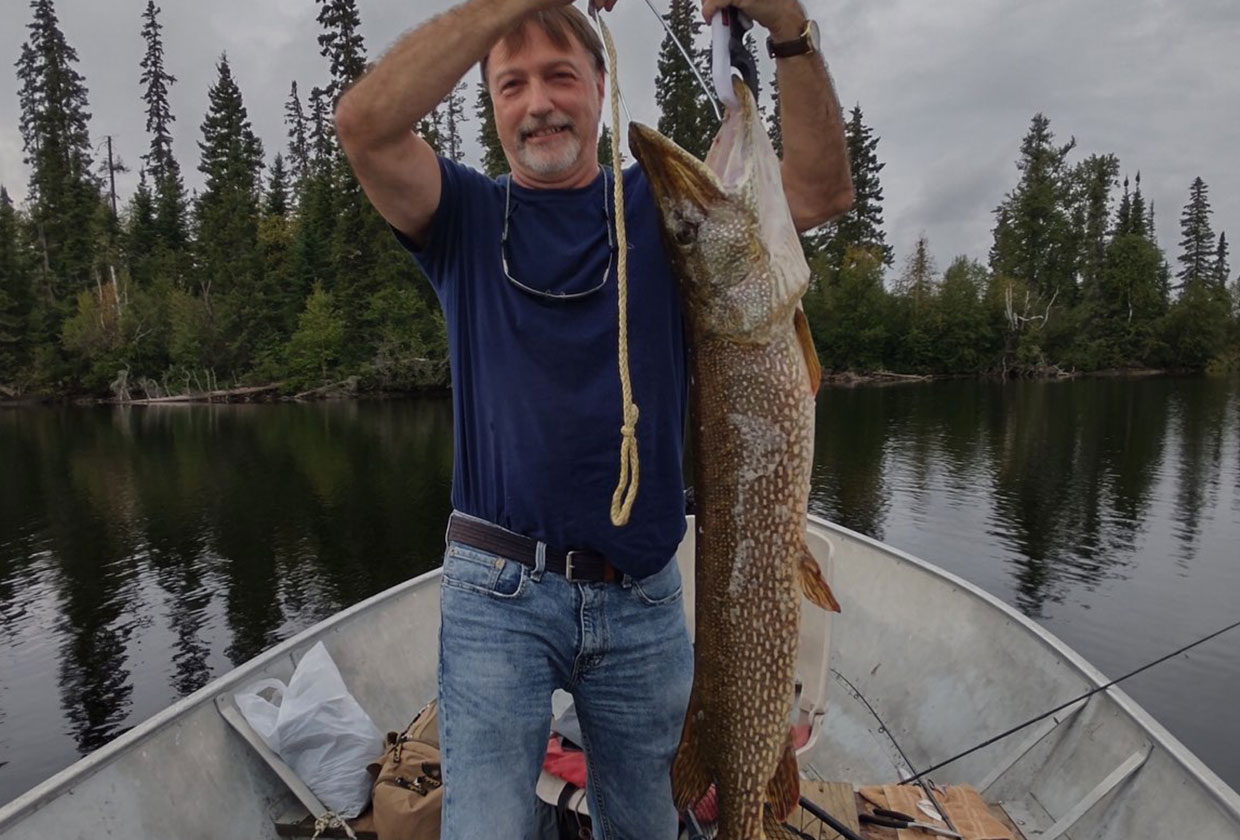 Giant Pike