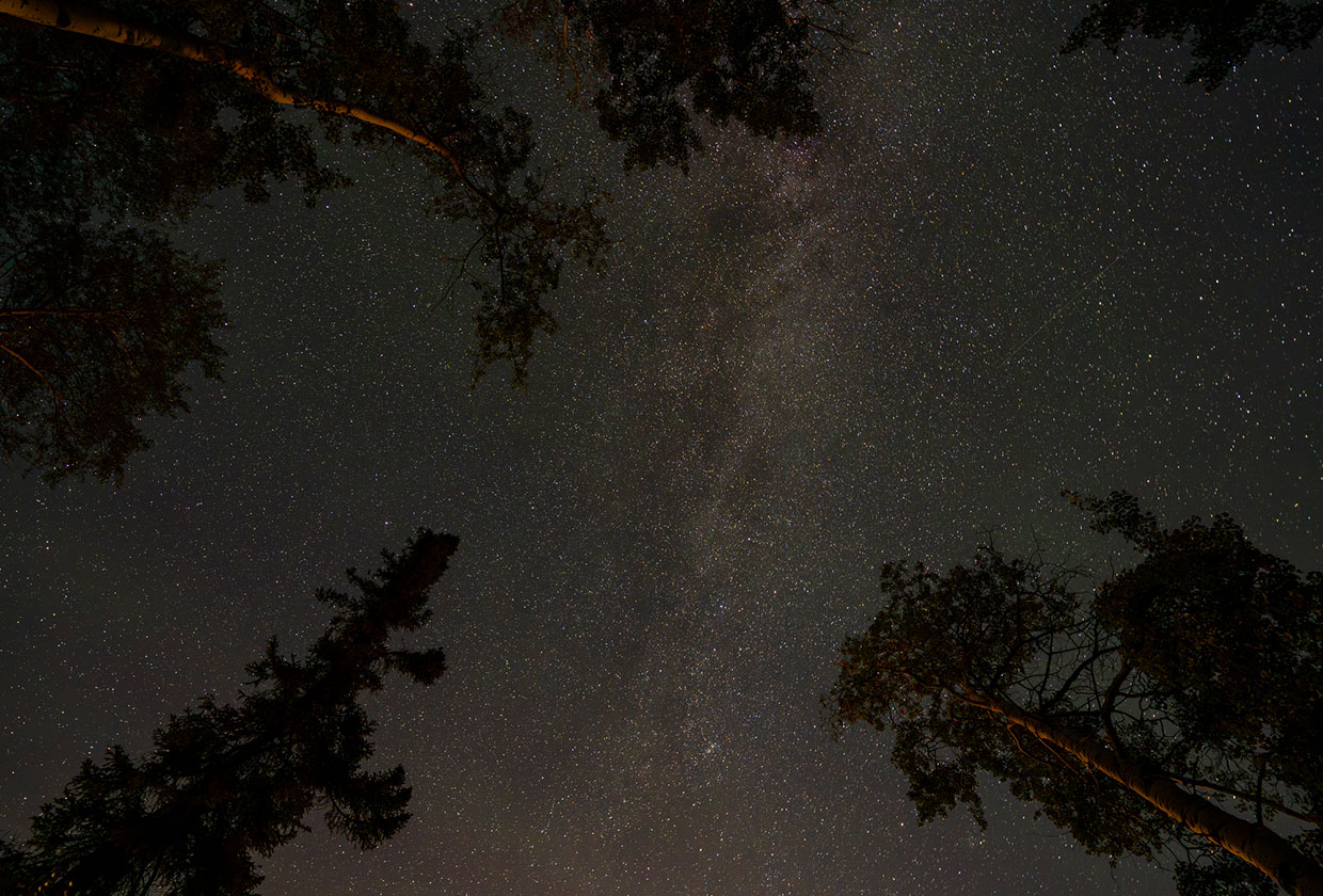 Northern lights at Kississing Lake Lodge