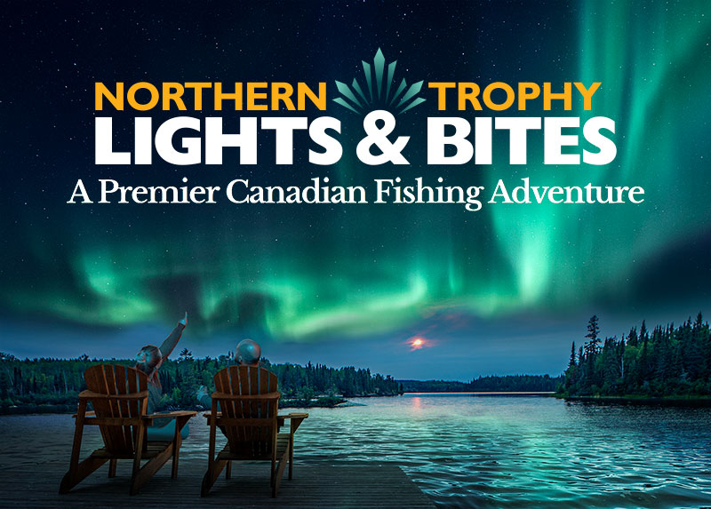 Northern Lights & Trophy Bites