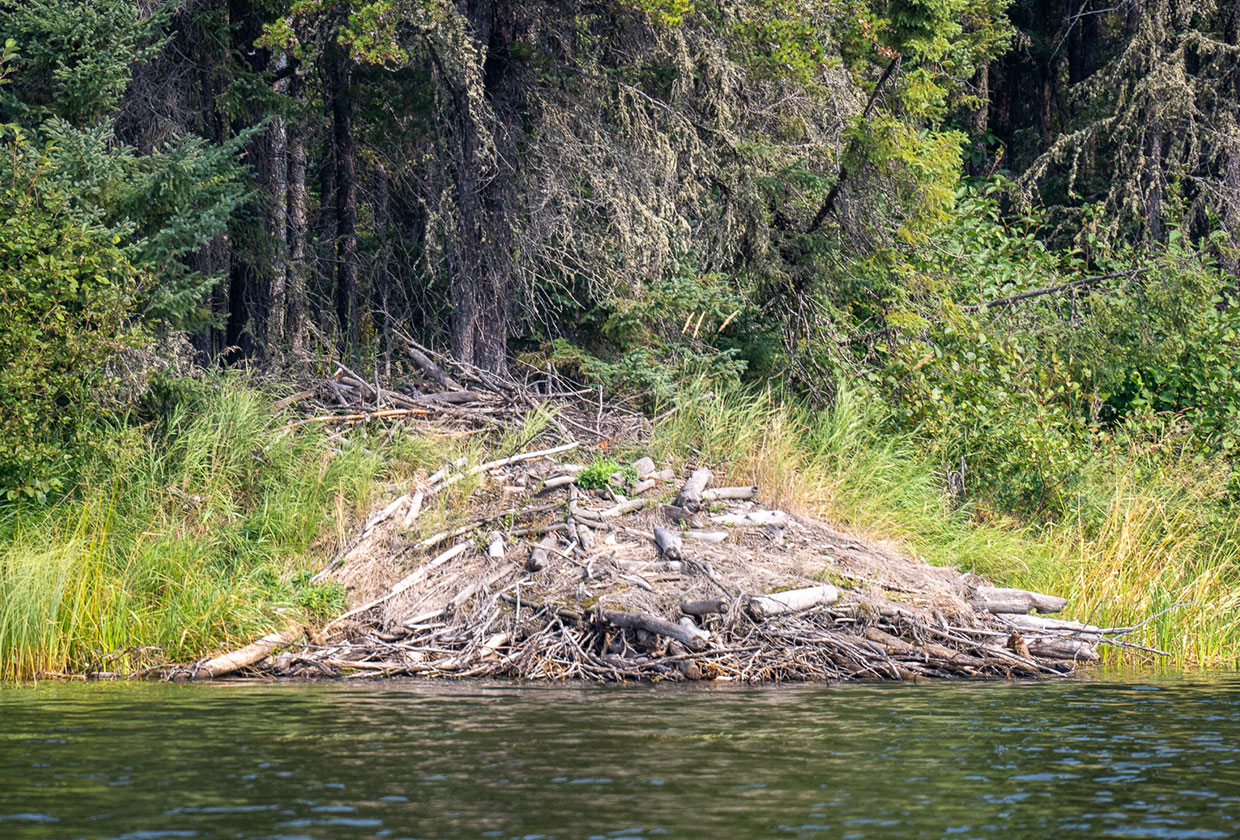 Beaver Dam